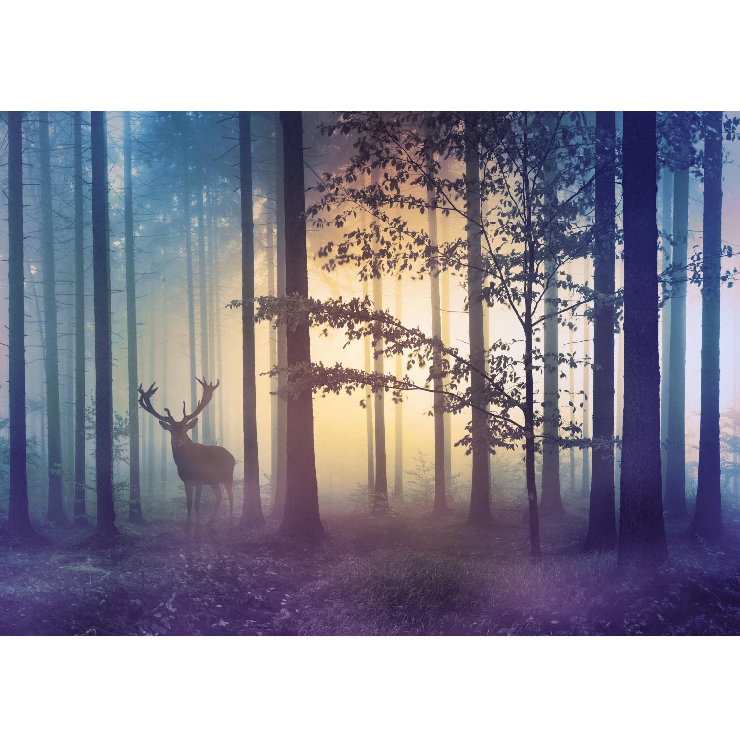 Runa Art Wallpaper 396 x 280 cm Wald Hirsch Fog Non-Woven Decoration Print Wall Mural Living Room - Made in Germany - Yellow Blue 9338012a