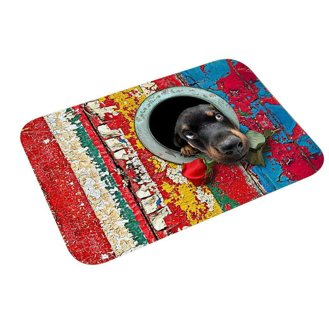 Junio1 Nuevo hogar, baño, Dormitorio, Felpudo, Piso, alfombras Antideslizantes Suaves Alfombras