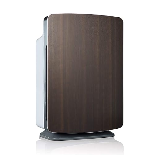 Best Hospital Grade Air Purifiers 10Reviewz