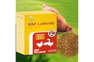 GOLDWORMS 10LB Dried Black Solider Fly Larvae, BSFL is High Protein Chicken Feed with 85x More Calcium Than Dried Mealworms, Poultry Treats, Chickens Love, Birds Love, Hens Love, Ducks Love