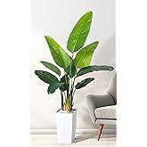 HAIHONG Bird of Paradise Artificial Plant 6FT, Faux Tropical Palm Tree with White Tall Planter, Large Fake Plants in Pot - Artificial Tree for Home Office Living Room Decor Indoor