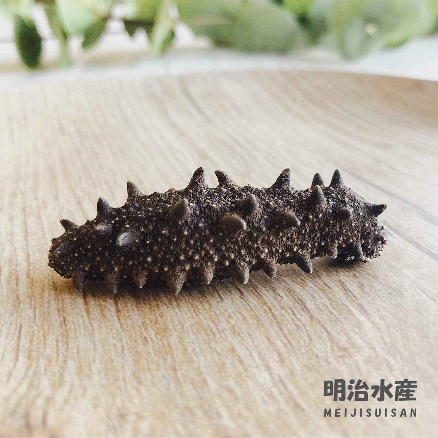 Amazon 青森産 乾燥なまこ 天然 厳選a級品 500g 明治水産 M 約70個 6 8 9g 明治水産 干物 燻製 通販