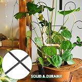 PRTECY Flueyer 2 Pcs Plant Trellis Garden Metal Support Stake 40x20cm view 6