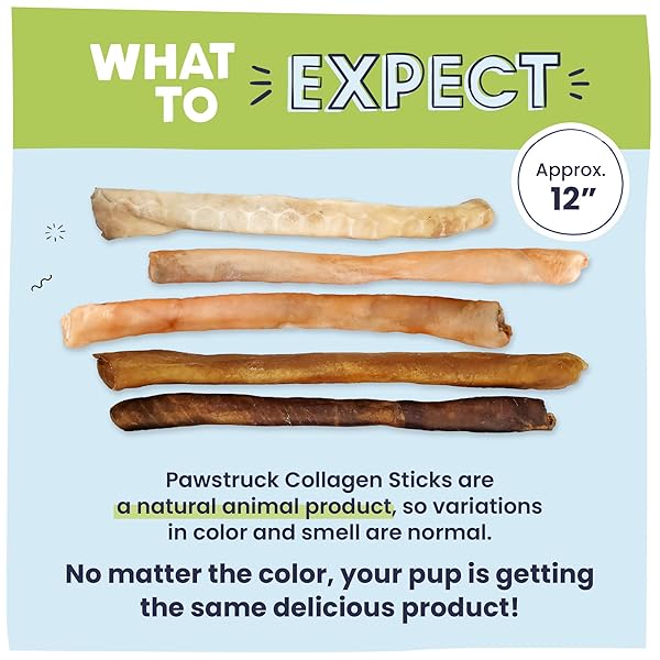 PAWSTRUCK NATURAL LARGE 12″ BEEF COLLAGEN STICKS FOR DOGS – LONG-LASTING RAWHIDE ALTERNATIVE, HIGH PROTEIN TREATS WITH CHONDROITIN & GLUCOSAMINE – 5 PACK