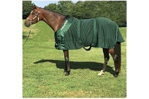 Back on Track Therapeutic Horse Mesh Rug (Hunter Green, 78-Inch)