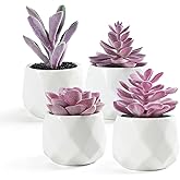 VIVERIE Mini Succulents Plants Artificial in Pots, Christmas Small Fake Plants for Home Decor Indoor for Women, White Ceramic Faux Succulents, Set of 4, Gifts for Mom-Purple