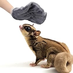 2 Pcs Sugar Glider Bonding Mitt, Calming Sleeping