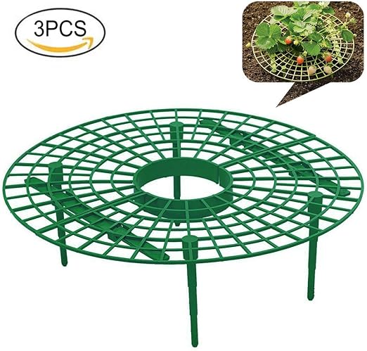 PovKeever Soporte para Plantas de Fresa, 3 Unidades, Protección ...