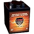 VMAXTANKS 6 Volt 225Ah AGM Battery: High Capacity & Maintenance Free Deep Cycle Battery for Golf Carts, Solar Energy, Wind Energy.