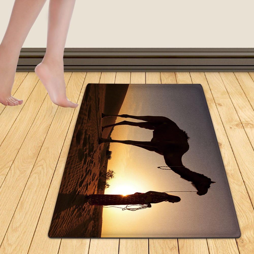 WelFriday custom door mats 103510688 Sunset Silhouette of a women in a saree walking across the sand dunes of the Thar Desert with her camel Rajasthan India,W16 x L24 inch