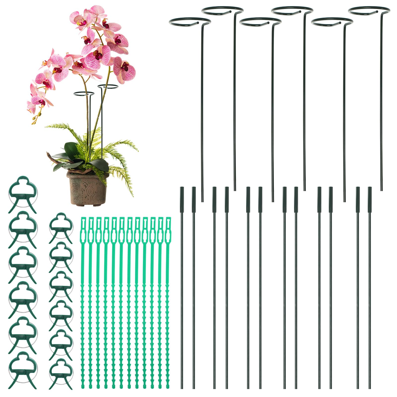 Realjoy 6Pcs Plant Support Stakes,30cm 60cm 90cm Adjustable Garden Single Stem Plant Stakes and Supports with 12 Plant Ties + 12 Plant Clips,Plant Supports for Tomatoes,Peonies,Roses