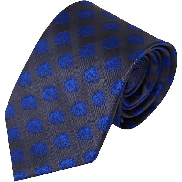 knicks tie