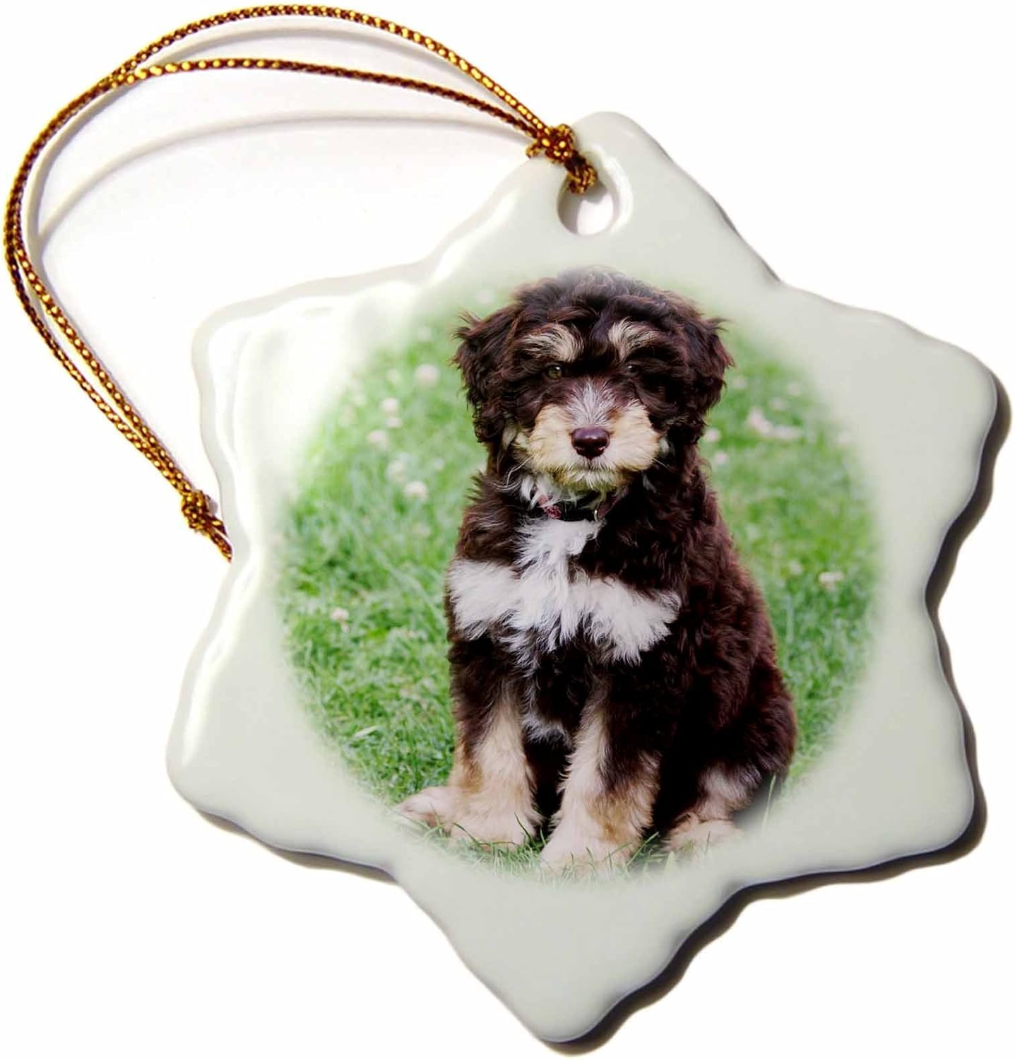 aussiedoodle christmas ornament