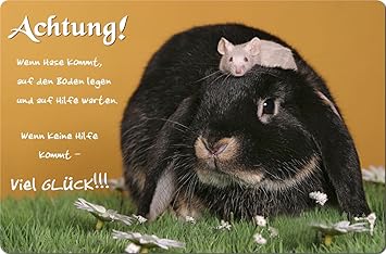 Kaninchen Hase Zwergkaninchen Metall Warnschild Schild Turschild