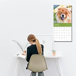 July 2025- December 2026 Wall Calendar 18 Month
