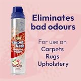 1001 Carpet Fresh Apple & Cinnamon 300ml Carpet Freshener Spray view 2