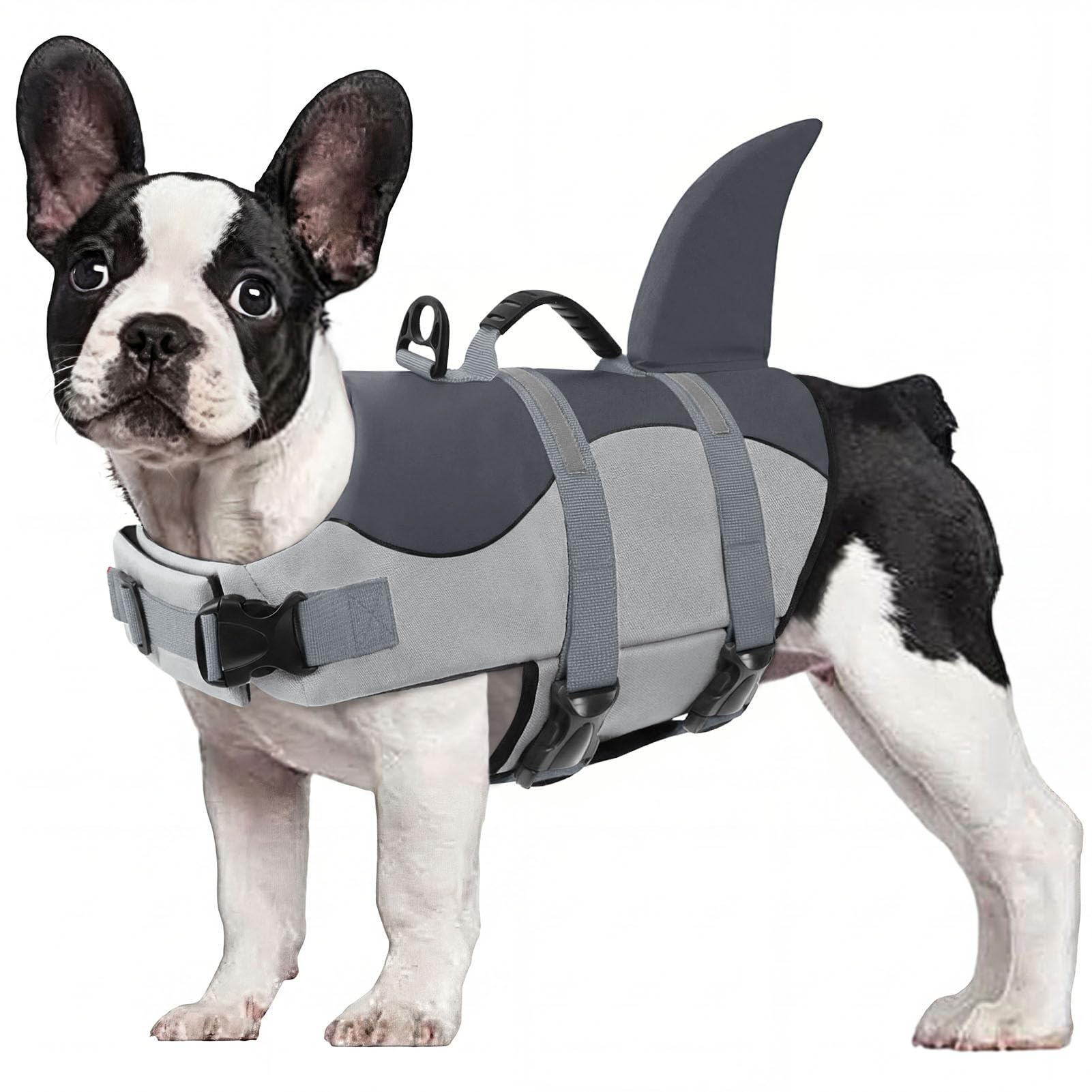 CITÉTOILE Dog Life Jacket Shark Costume, Puppy Safety Vest for Swimming Pool Beach Boating, Training Flotation Vest with Rescue Handle & Reflective Strips for Dogs, Grey, L