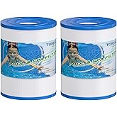 TOREAD PRB25SF Spa Filter Replaces Unicel C-4405, Marquis 20342, Filbur FC-2387, PRB25SF-PAIR, R172464, APCC7062, CMP 25392-000-100, 17-2464, 817-5010 Hot Tub Filter, 2 Pack