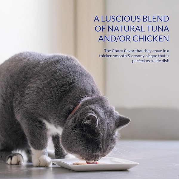 INABA CHURU BISQUE FOR CATS, CREAMY LICKABLE PURÉE SIDE DISH WITH VITAMIN E, 1.4 OUNCES PER POUCH, 12 POUCHES, TUNA WITH SALMON RECIPE