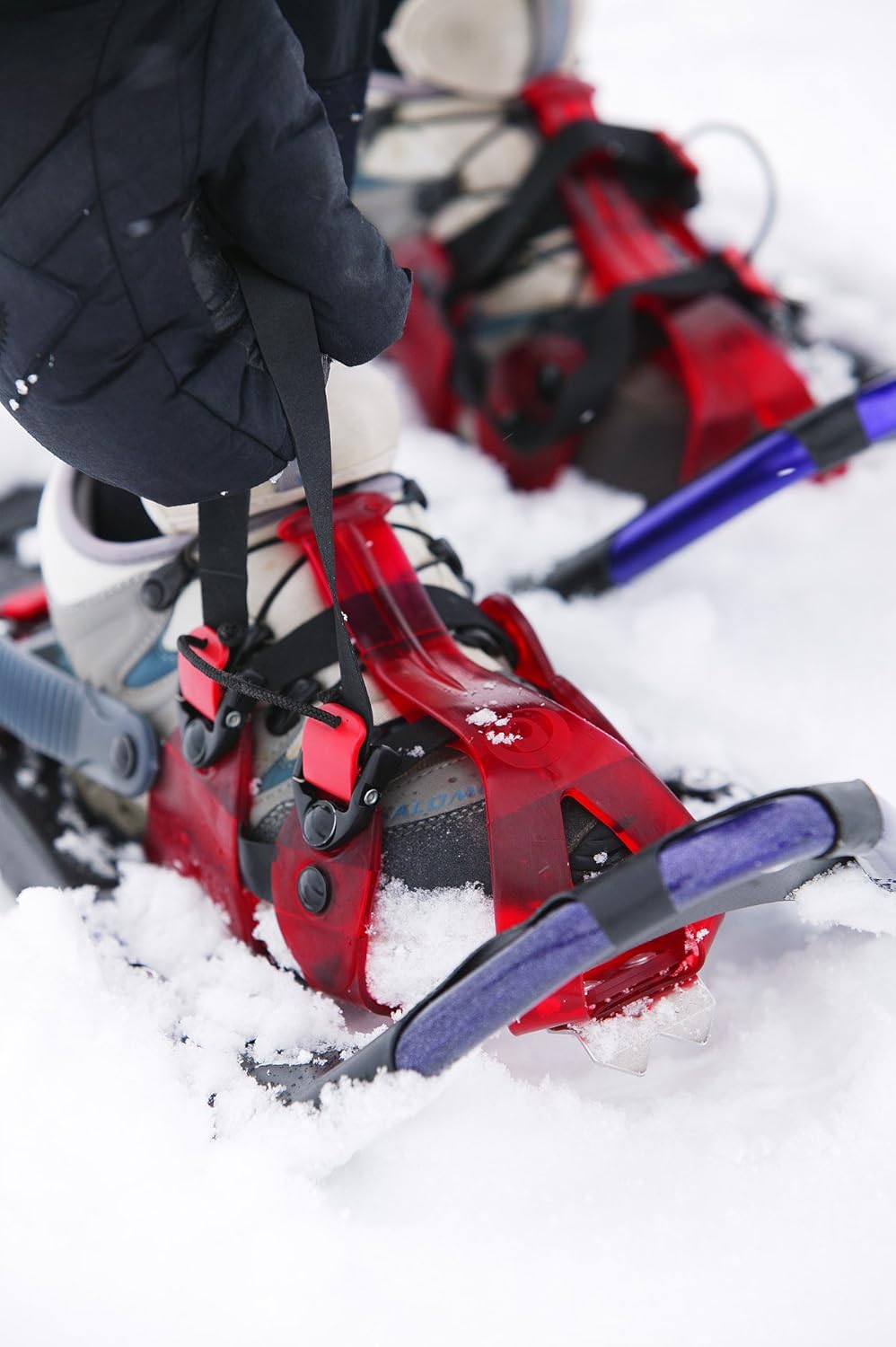 Crescent moon gold 9 snowshoes