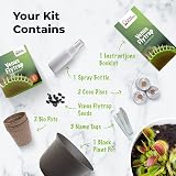 Grow Buddha Grow Your Own Venus Flytrap Kit – Carnivorous Plant Starter view 4