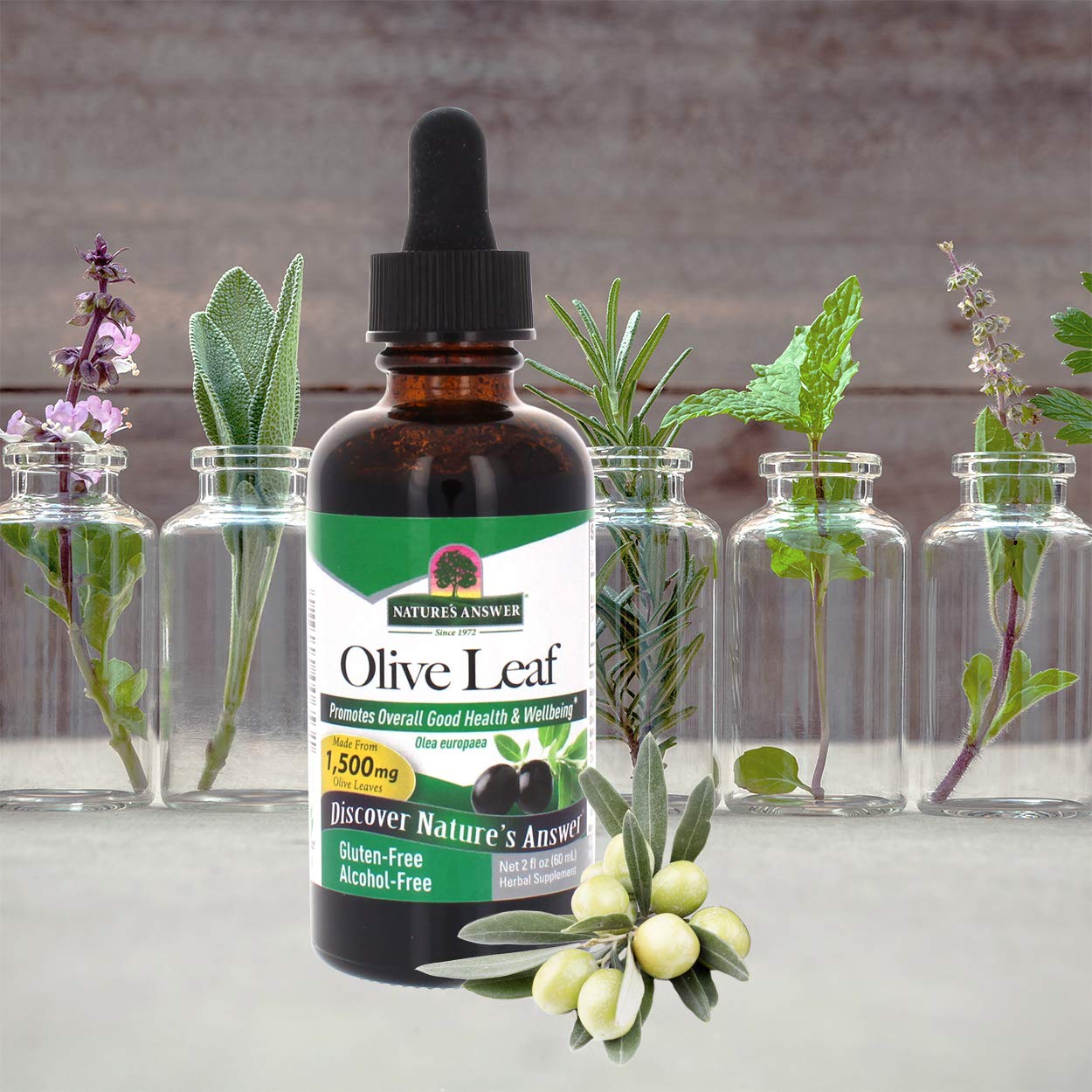 Nature's Answer Alcohol-Free Oleopein Olive Leaf, 2-Fluid Ounces, Cranberry, 60 ml (Pack of 1) - Image 5