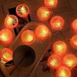 LEKIBOP Fruit String Lights Battery Powered Indoor