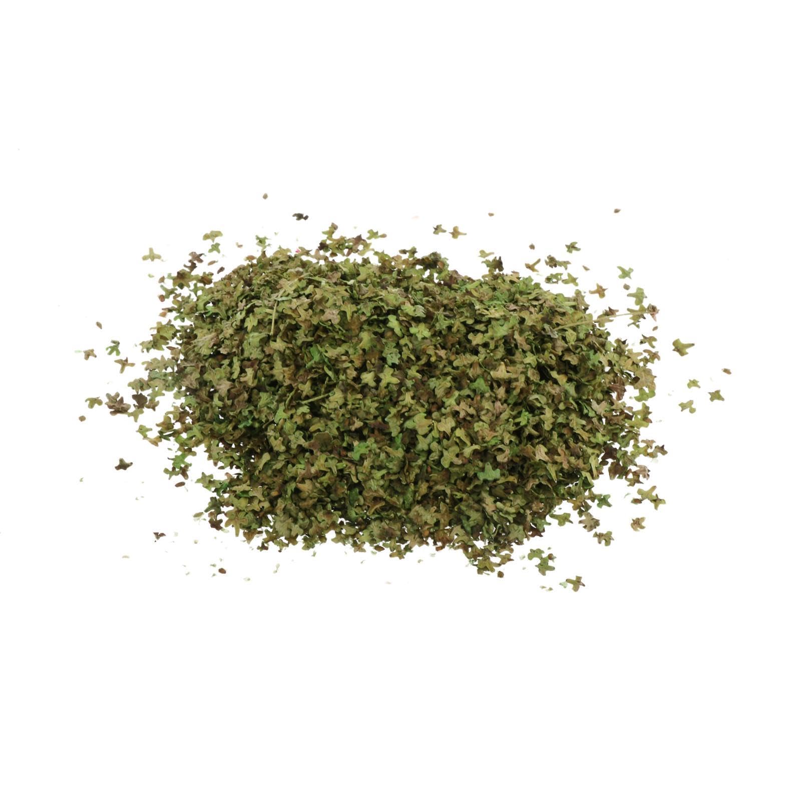 Baoblaze Realistic Miniature Leaves, Simulation Leaves for DIY Mini Model, Railway, Fairy Garden, Architecture, Diorama Landscape, Summer Green