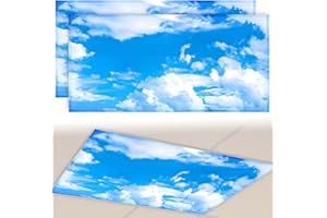 2 Pack Fluorescent Light Covers for Ceiling Lights, 4 ×2 feet Magnetic Fluorescent Light Covers, for Classroom Office Hospita