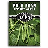 Kentucky Wonder Pole Bean Seeds for Planting (1 Pack) | Heirloom Climbing Green Beans for Trellis Growing - Long Harvest Season, Stringless Pods - Survival Garden Seeds
