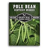 Survival Garden Seeds - Kentucky Wonder Pole Bean
