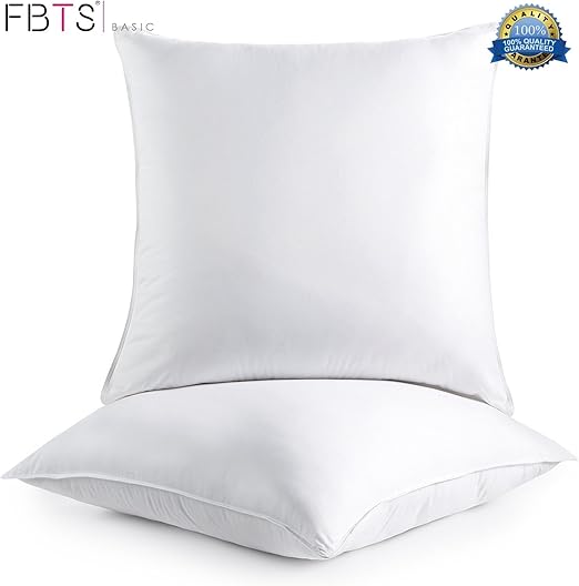 Amazon Com Fbts Basic Pillow Insert 2 Packs 18x18 Inch Square