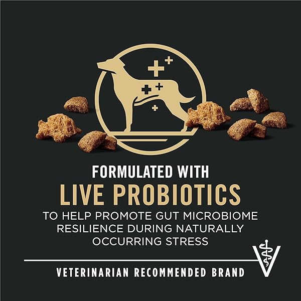 PURINA PRO PLAN COMPLETE ESSENTIALS SHREDDED BLEND BEEF AND RICE DOG FOOD DRY FORMULA WITH PROBIOTICS FOR DOGS – 5 LB. BAG
