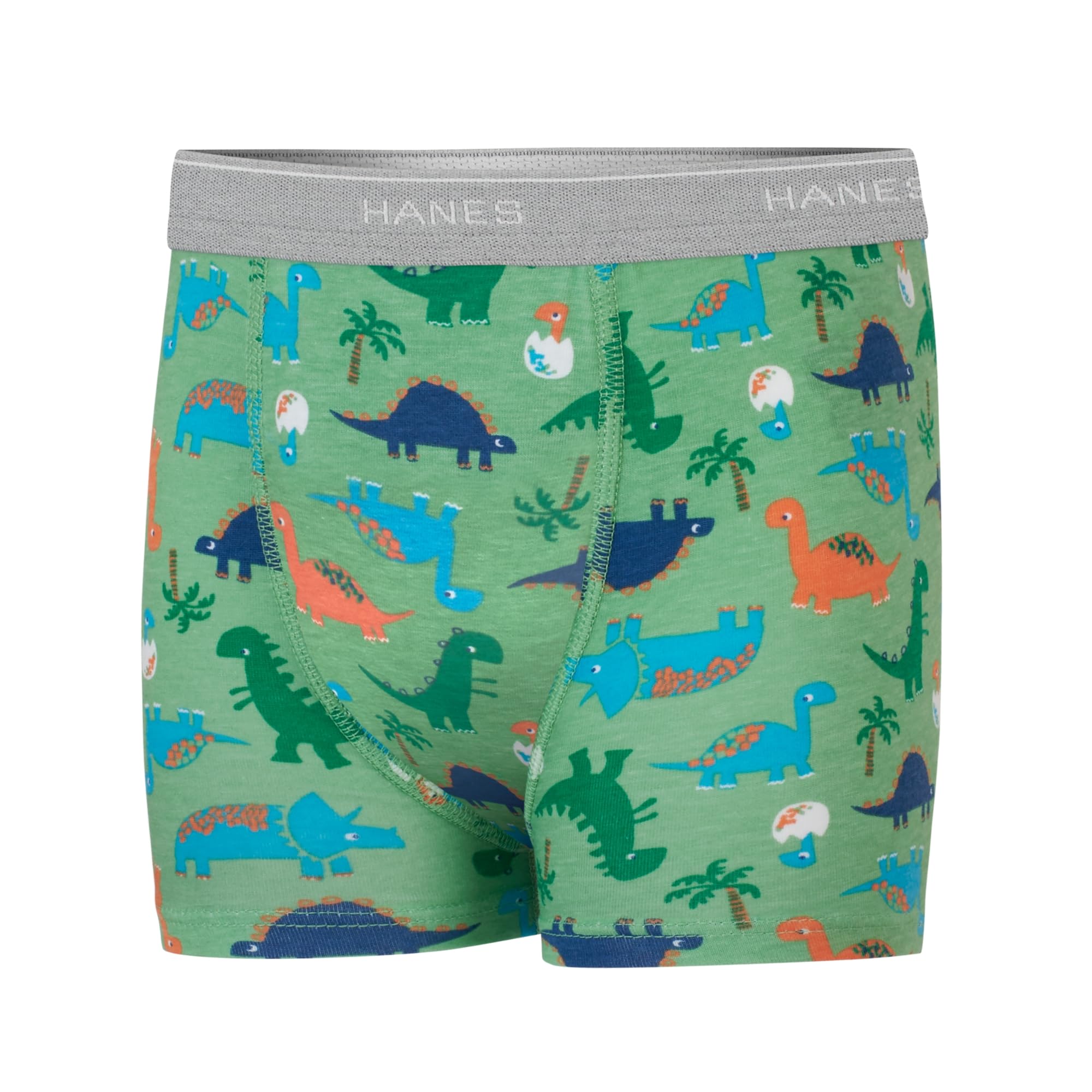 Hanes Toddler Boys' Potty Trainer Underwear, Light Leaks Boxer Briefs & Briefs Available, 6 & 7 Pack