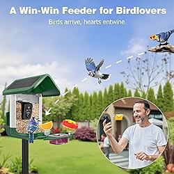 Viubird Bird Feeder with Camera Solar Powered