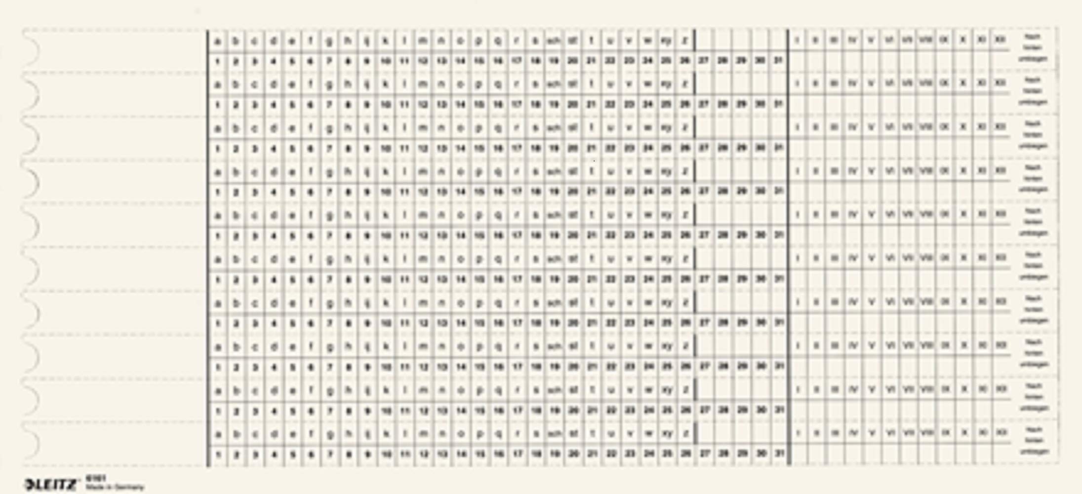 Leitz 61610001 Organisation Strips for Alpha Hanging Files Scale 1+2 Set of 100 White