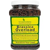 TNT Seed Company Brassica Overload Deer Food Plot Seed Mix, 1/2 Acre, Cold Hardy Annual Fall Blend, Tillage Radish, Purple Top Turnips, Kale, Rapeseed &amp; Hybrid Brassica for Late Season Attraction