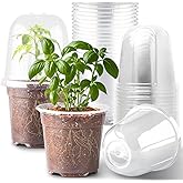 RooTrimmer 6 Inch Clear Nursery Pots with Humidity Dome, 15 Pack Durable Seed Starting Pot with Drainage Holes, Transparent Plastic Plant Seedling Pots for Indoor Gardening Plants