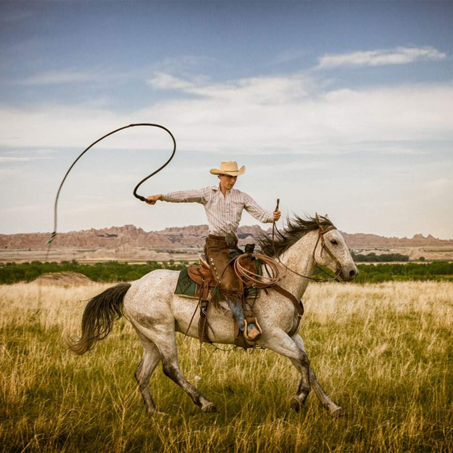 SCARLET KITTEN Weaving Bullwhip 8 Feet Long Bull Whip for Cowboy Horse