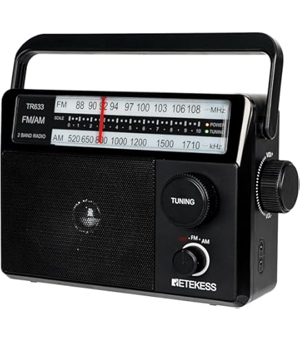 Panasonic FM/AM 2 Band Radio RF-P150A-S Silver : Amazon.ca