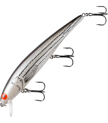 ambrose fishing lure Bomber Long A Lure, 3 1/2-Inch, 3/8-Ounce, Chartreuse Flash Black Back/Orange Belly, (B14AXCHO) : Sports & Outdoors Color:PM TWILIGHT Coastal Tuff Spin N' sport fishing Don’t miss out on