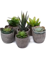 Künstliche Pflanzen | Amazon.de