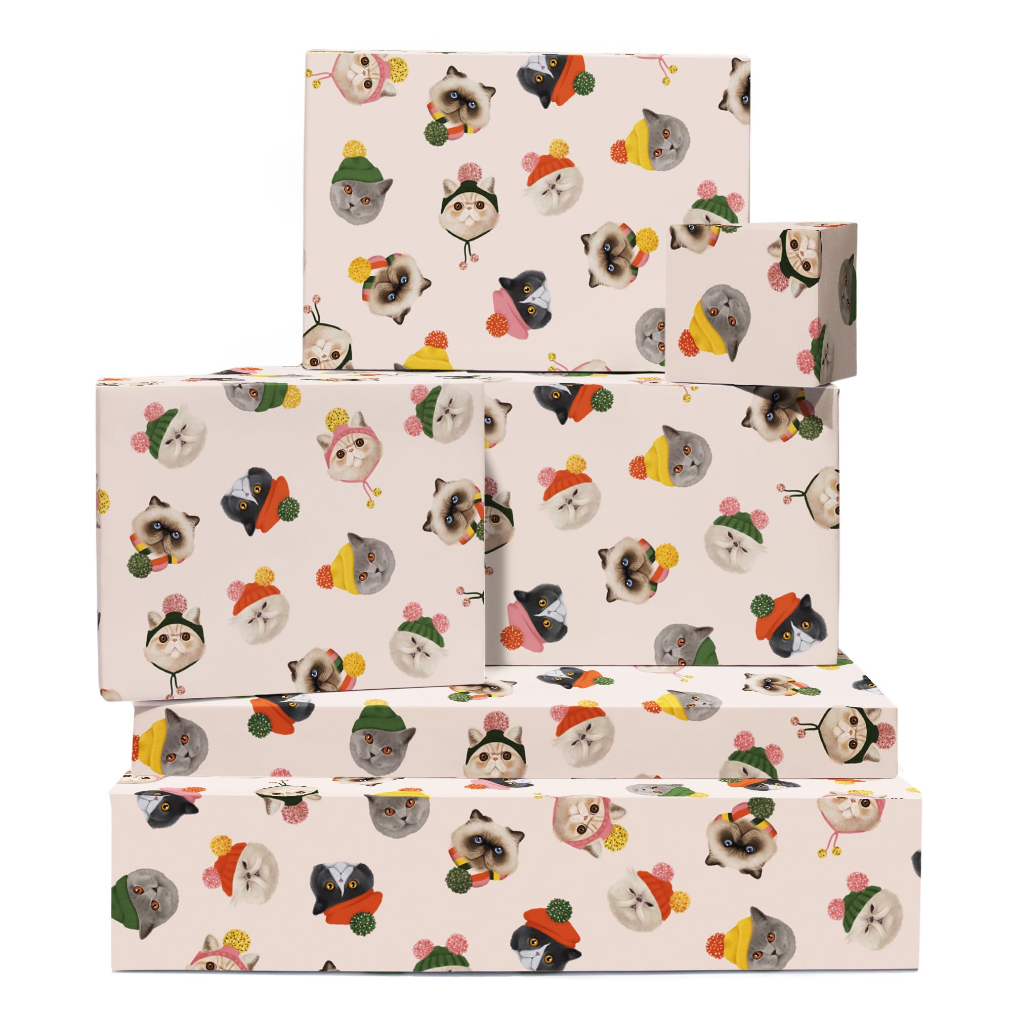 Christmas Wrapping Paper and Tags - (x6) Pink Gift Wrap Sheets for Her - Cats in Hats - For Girls Women - Christmas - Birthday - Wrap for Kids - Recyclable - by Central 23