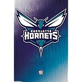 Trends International NBA Charlotte Hornets - Logo 14 Wall Poster, 14.725" x 22.375", Premium Unframed Version
