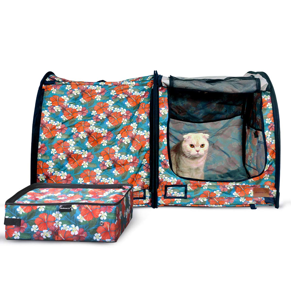 hyperthyroid cat not using litter box