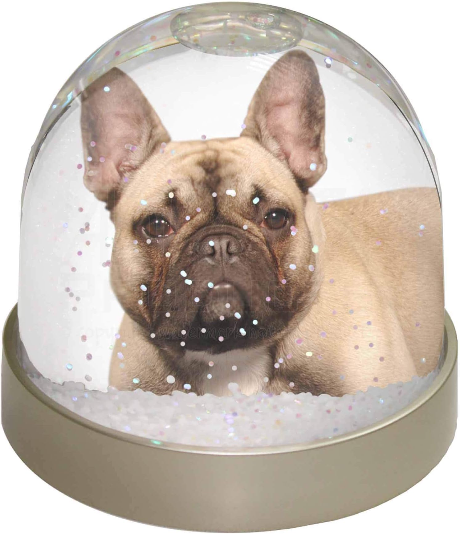 French Bulldog Photo Snow Globe Waterball - Advanta Group®