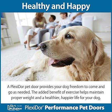 plexidor performance pet doors