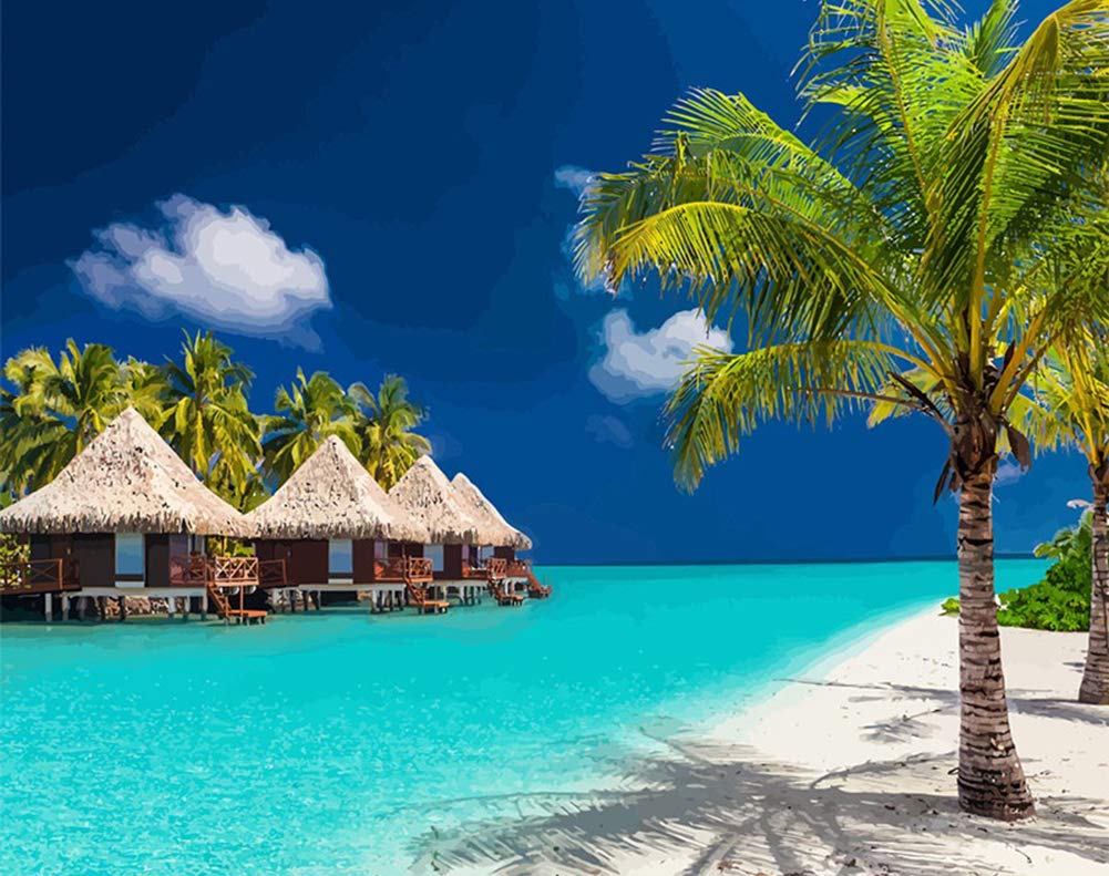 DIY Paint by Numbers, ABEUTY Sunny Beach 16x20 inches Number Painting Art Therapy