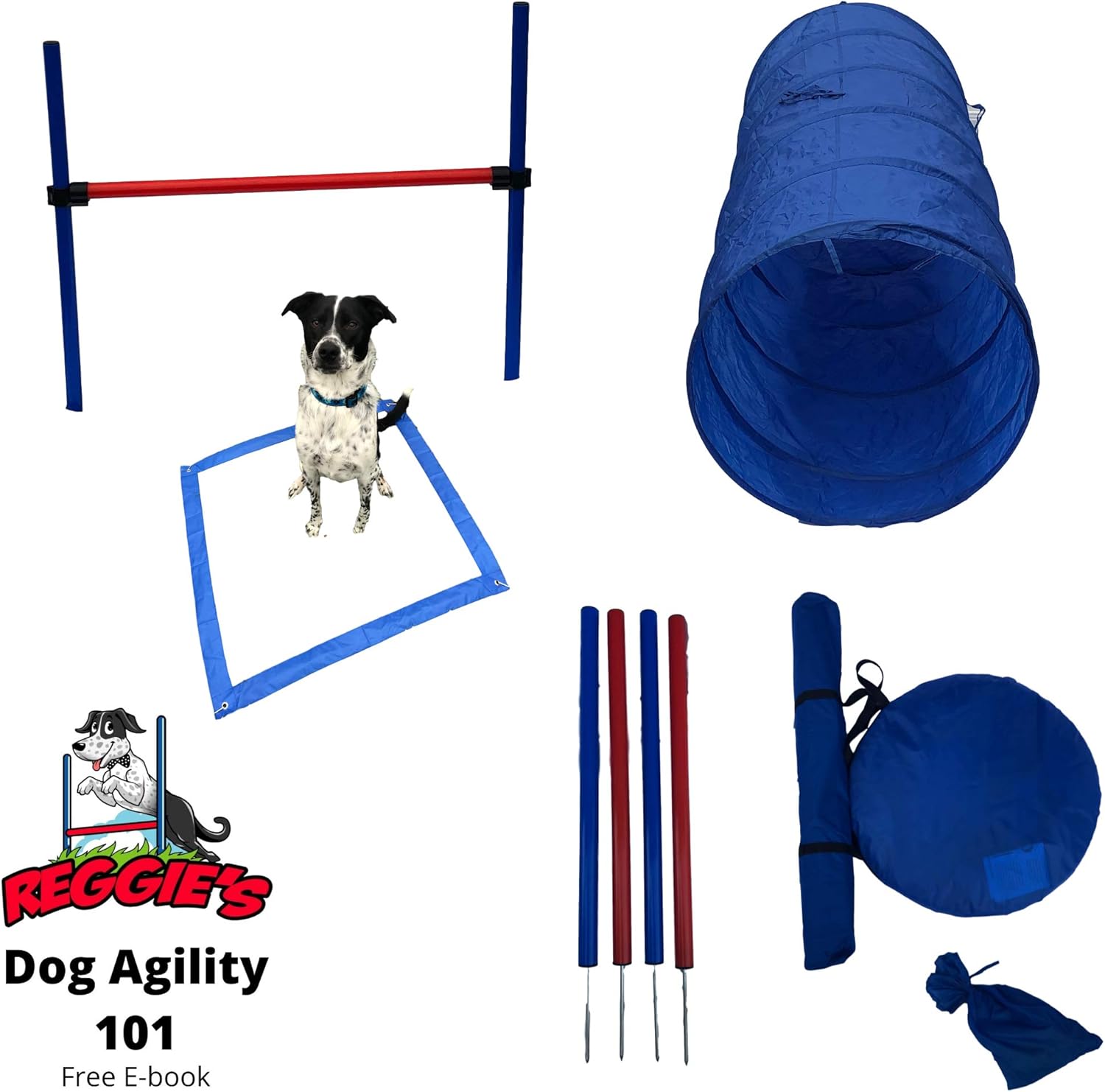 Free dog agility equipment Clearance