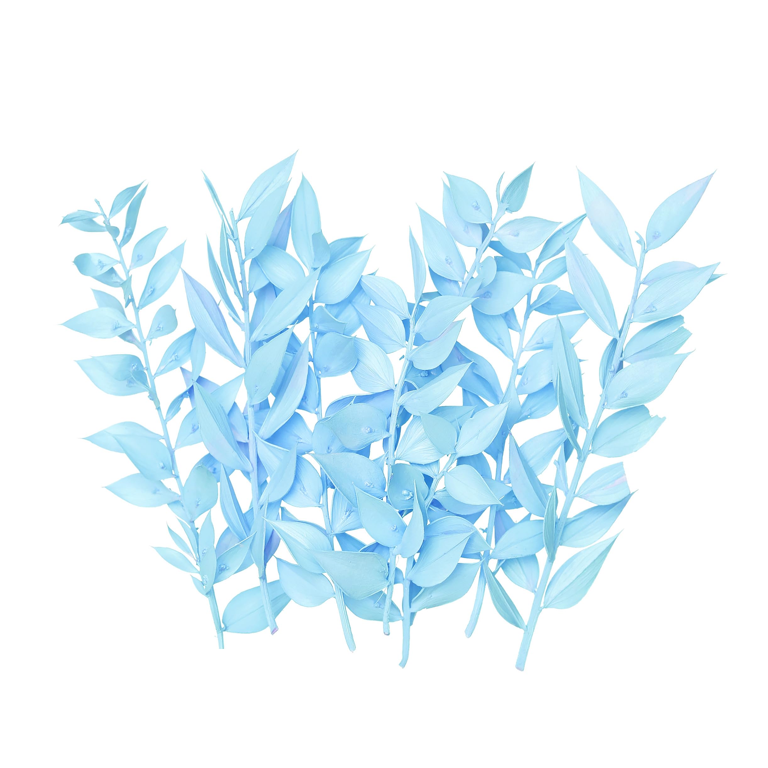 The Baked Studio - Original Dried Flower Ruscus Set For Cake & Cupcake Decorating & Others Crafts (Light Blue)